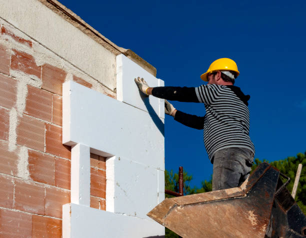 Best Insulation Replacement Services  in Stateburg, SC