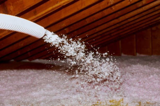 Best Residential Insulation Services  in Stateburg, SC