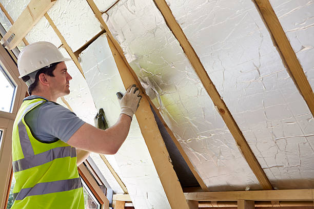 Best Insulation Replacement Services  in Stateburg, SC