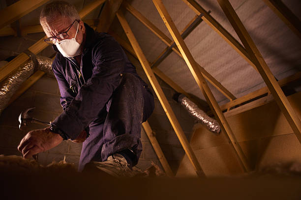 Best Insulation Inspection Services  in Stateburg, SC