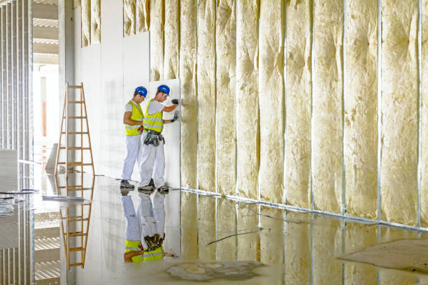 Best Insulation for New Construction  in Stateburg, SC